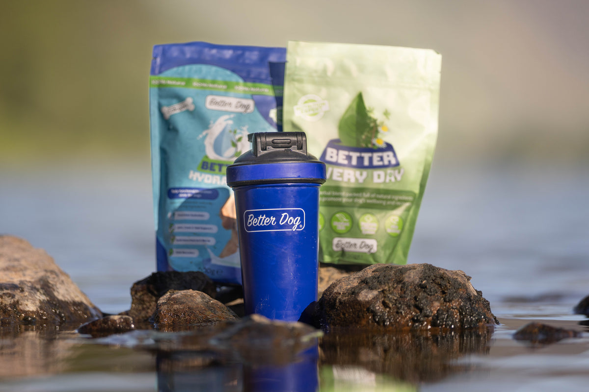 Free metal shaker worth £20!