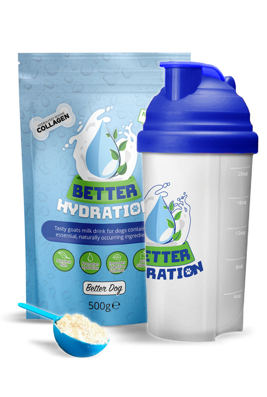 Better Hydration + Shaker