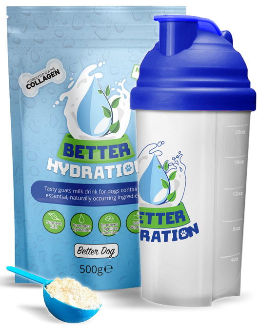Better Hydration + Shaker