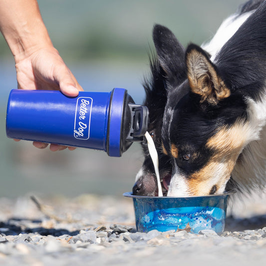 Better Hydration Metal Shaker