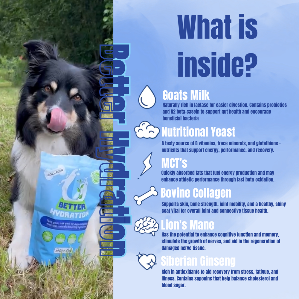 Better Hydration