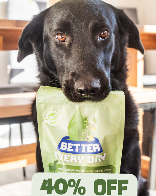 Better Every Day (40% off applied at checkout)