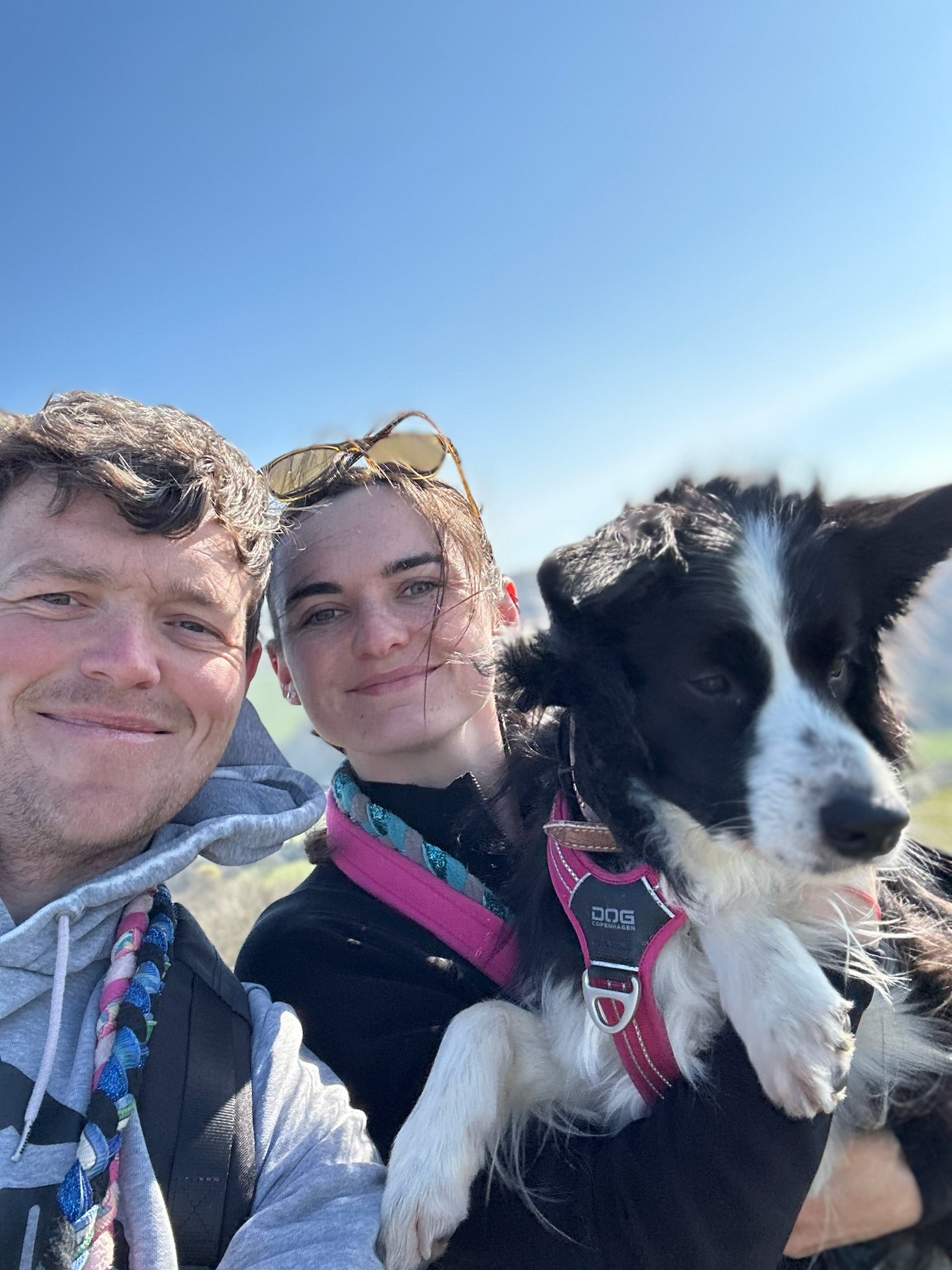 Dalton and Jodie with dogs