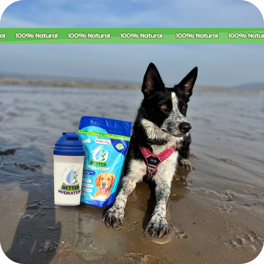 Better Hydration + Shaker