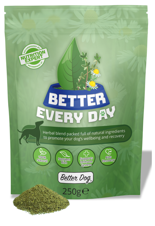 Better Every Day
