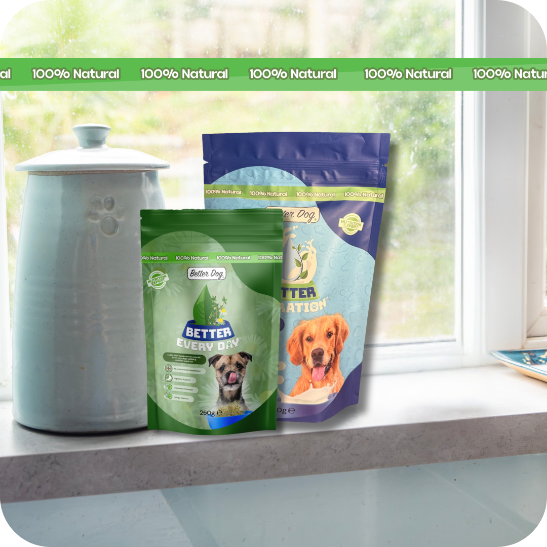 Starter Bundle *coming soon*